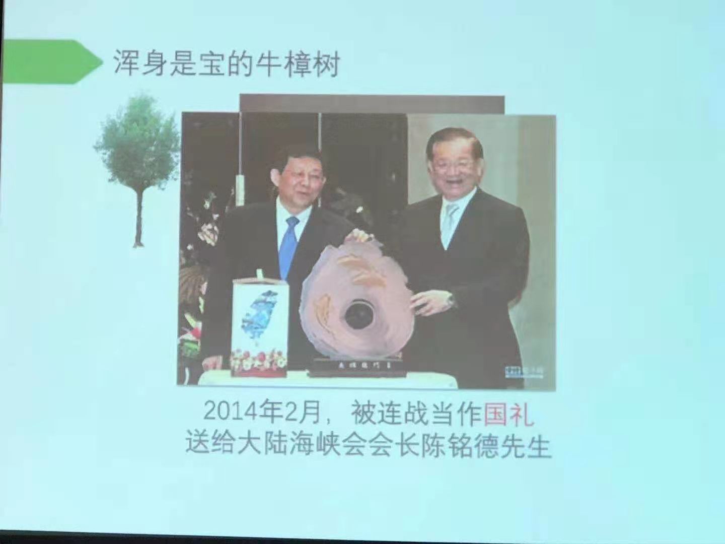 	台湾牛樟芝