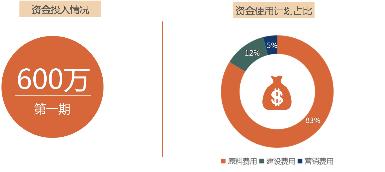 台湾牛樟芝产业园的投资回报率