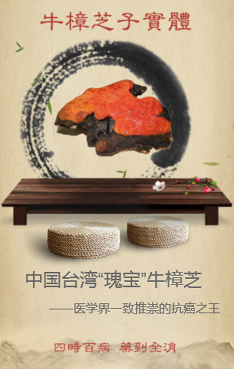 台湾牛樟菇